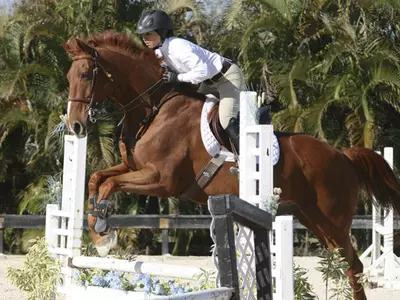 Three Bears Shine at 2013 IHSA Nationals Image