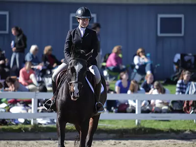 Equestrian Competes at UMass Dartmouth Show Image