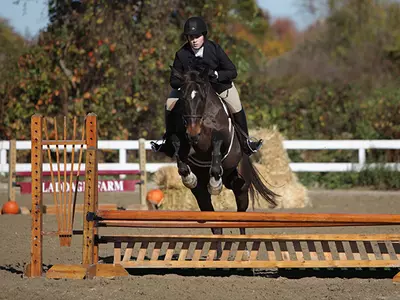 Equestrian Finishes in Seventh Place at Roger Williams Show Image
