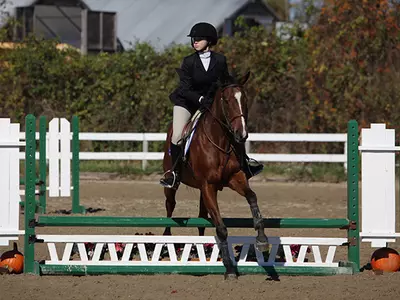 Equestrian Takes Fourth at Home Show in Fall Finale Image