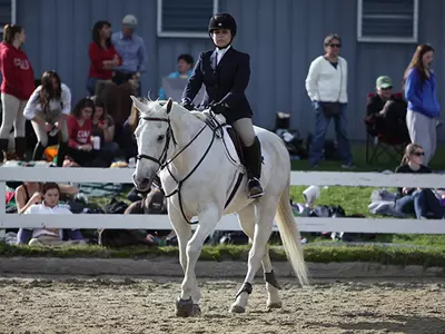 Beginner Walk-Trot-Canter Performance Paces Equestrian at URI IHSA Show Image