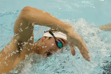 Men's Swimming and Diving Finishes Second At The Brown Invitational Image