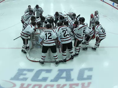 Men's Hockey Players Set for NHL Development Camps Image