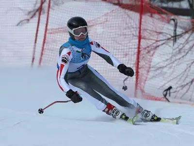 Brown First at Babson and Brown Carnivals Image