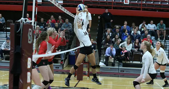 Volleyball's Rally Falls Short in 3-2 Setback to Princeton Image