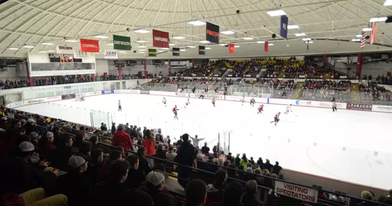 Men's Hockey to Host Jamboree on Saturday Image