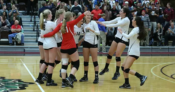 Volleyball Sweeps Cornell in Straight Sets in Home Opener, 3-0 Image