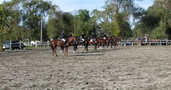 Equestrian Ties for Second at RWU Show, Remains atop Regional Standings Image