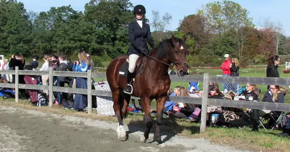 Equestrian Wins UMass Dartmouth Show, Baughen Earns High Point Rider Image