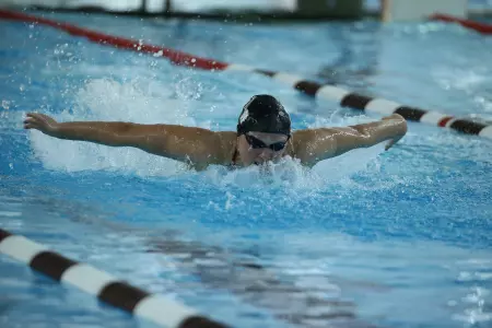 Women's Swimming & Diving Swims Past UMass, 210-89 Image