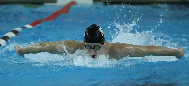 Men's Swimming & Diving Downed at Yale, 211-89 Image