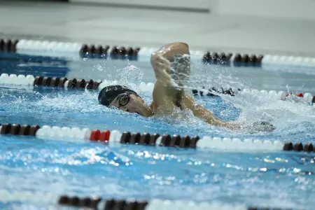 Men's Swimming & Diving In Third After Day One of Big Al Invite Image