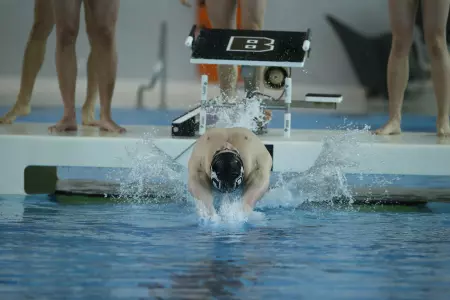Men's Swimming & Diving Remains in Third at Second Day of Big Al Invite Image