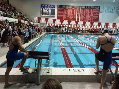 Women's Swimming & Diving Fifth After Day One of Ivy Championships Image