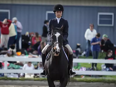 Equestrian Performers Garner All-Ivy Show Honors Image