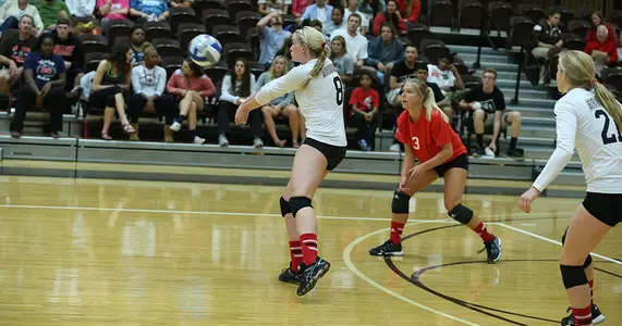 Volleyball Wins First Match of CCSU Invitational, 3-0, Over Holy Cross Image