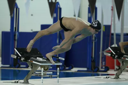Men's Swimming & Diving Falls to Harvard and Penn Image