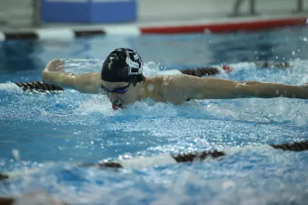 Men's Swimming & Diving Defeated by Columbia, 166-134 Image
