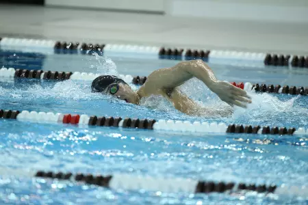 Men's Swimming & Diving Falls at Cornell, 177-123 Image