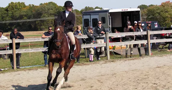Equestrian Places Sixth at Home Show at Windswept Farm Image