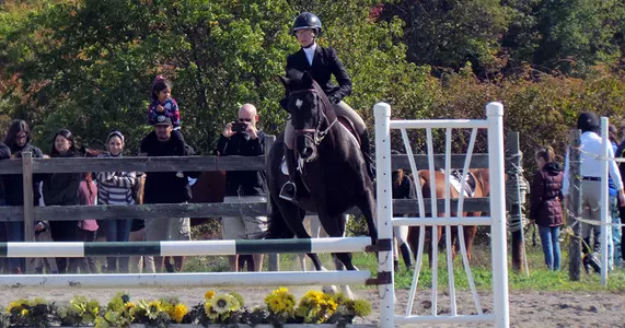 Equestrian Earns Four Blue Ribbons, Wins Becker Show Image