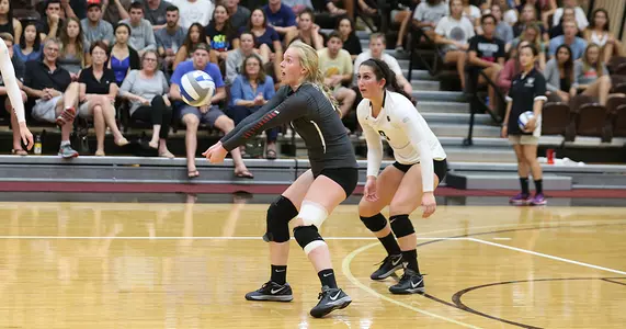 Volleyball Falls to Defending Ivy Champion Harvard in Four Sets, 3-1 Image
