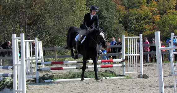 Equestrian Finishes in Fourth at Roger Williams Show Image
