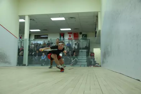 Bears Fall To Dartmouth, Topple MIT on Senior Day Image