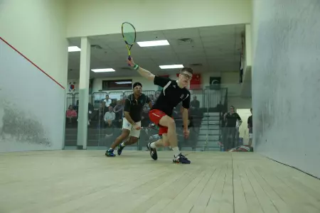 Bears Fall To Penn and Princeton Image