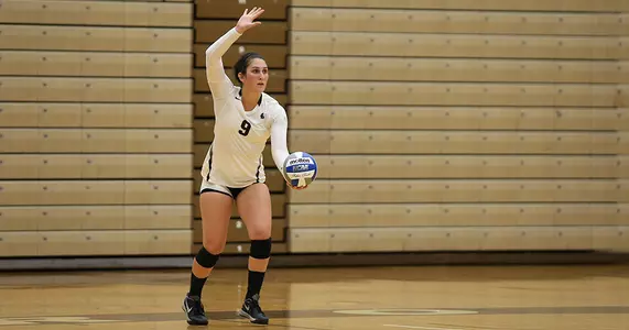 Volleyball Challenges USF, St. John's, Dropping Pair of Decisions Image