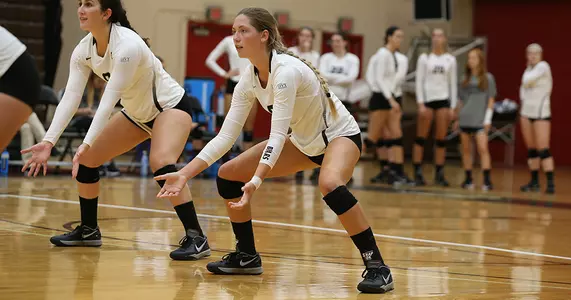 Volleyball Pushes Providence in Five-Set Setback, 3-2 Image