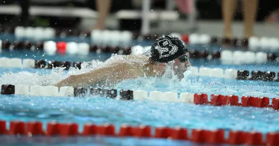 Men's Swimming & Diving Concludes Penn Tri-Meet Image
