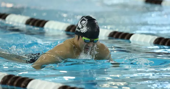 Men's Swimming & Diving Defeated at Columbia, 193-108 Image