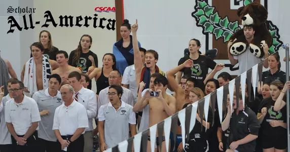 Swimming & Diving Teams Record Nation's Second-Highest GPA, Earn Scholar All-America Status Image