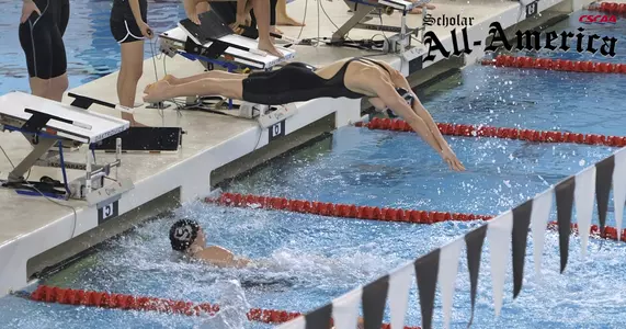 Swimming & Diving Teams Record Nation's Second-Highest GPA, Earn Scholar All-America Status Image