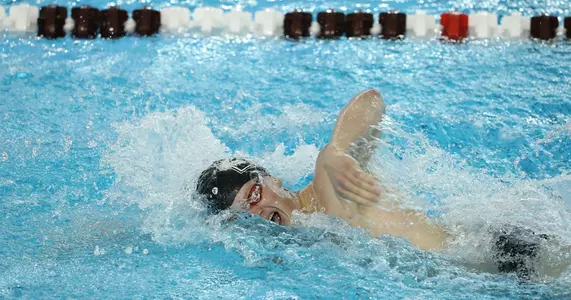Men's Swimming & Diving Posts 184-99 Win Over Cornell Image
