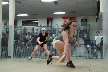 #9 Bears Toppled By #1 Harvard and #11 Dartmouth Image