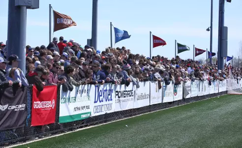 Stevenson-Pincince 3