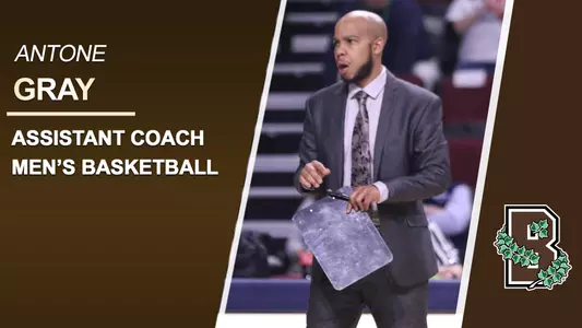gray assistant coach
