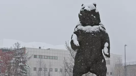 Indomitable_Snow_6587_1920x1080