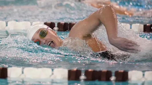 Orange Bsw112319-0836_web