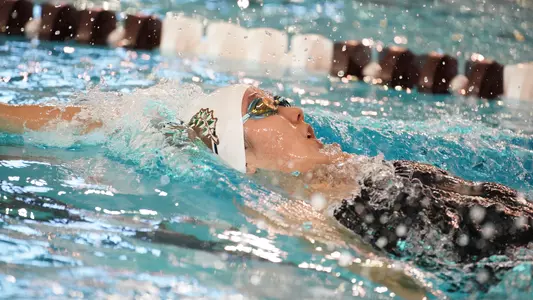 Takabayashi Bsw112319-07-9_web