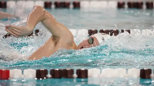 Scheidl Bsw112319-0863_web