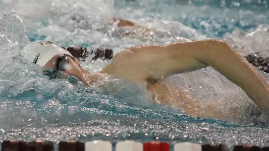 men's swimming and diving