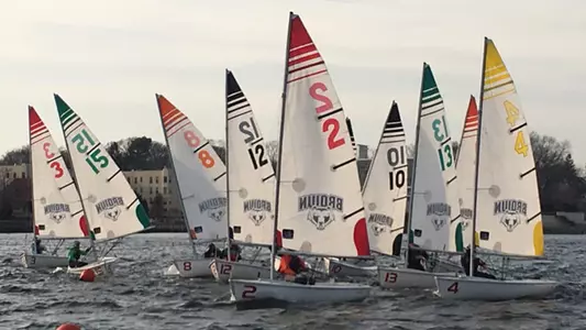 Multiple Brown boats sail on a sunny day