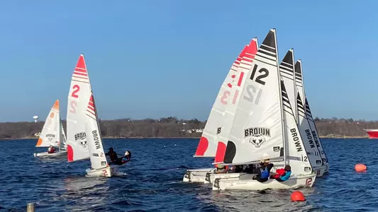 Brown sailing on a sunny day