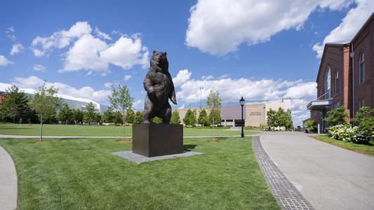 The Indomitable bear statue sits in the middle of a campus athletics quad