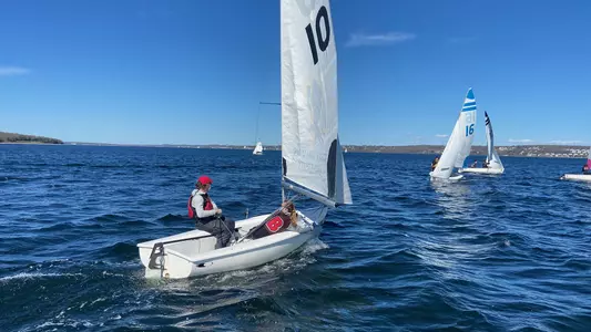 Brown sailing races on a sunny day