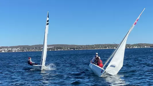Brown sailing races on a sunny day