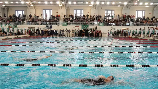 Photo of women's swimming & diving at the Katherine Moran Coleman Aquatics Center